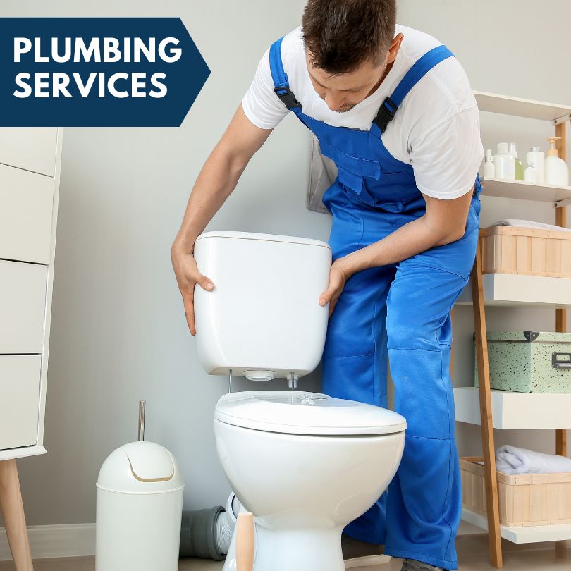 Plumbing Company in Ohlman, IL